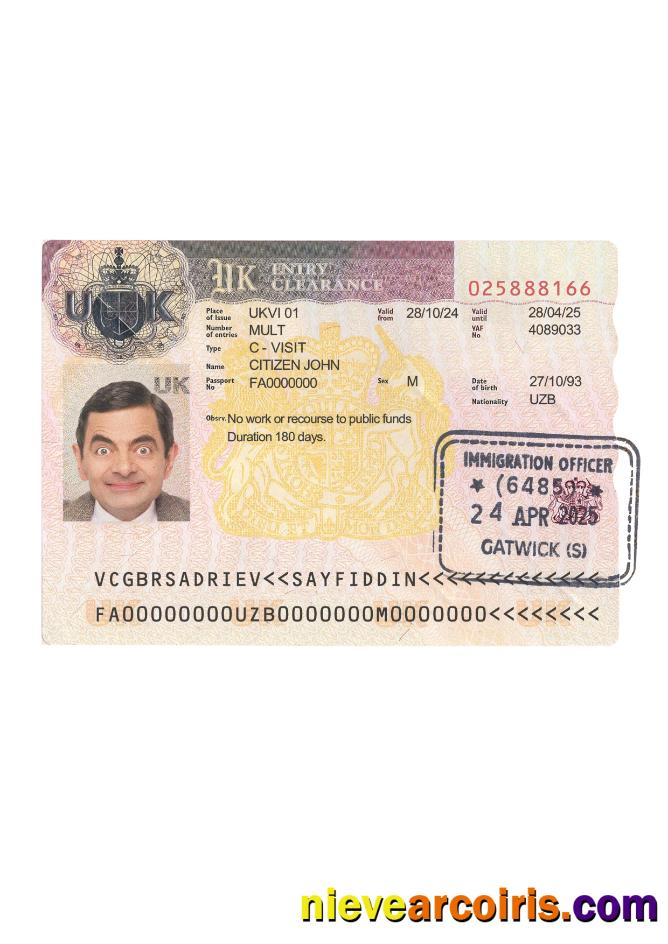 United Kingdom entry visa 2024-present